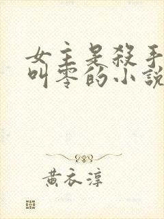 女主是杀手名字叫零的小说