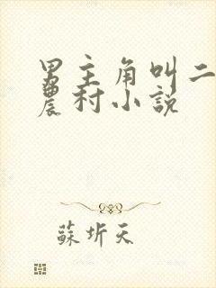 男主角叫二狗的农村小说