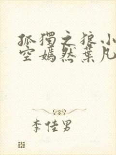 孤独之狼小说司空嫣然叶凡