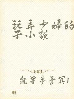 玩弄少妇的大奶子小说