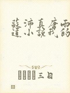 苏沛真唐雨菲林道小说我的岳母