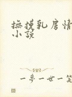 抚摸乳房情节的小说封面