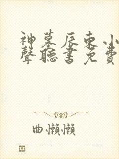 神墓辰东小说有声听书免费