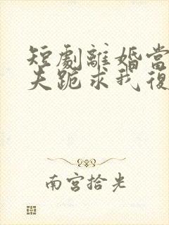 短剧离婚当天前夫跪求我复婚全集