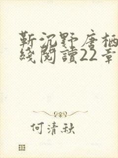 靳沉野唐栖雾在线阅读22章封面