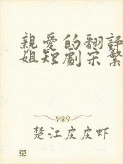 亲爱的翻译官小姐短剧宋繁星