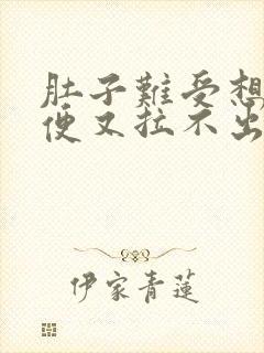 肚子难受想拉大便又拉不出来是什么原因