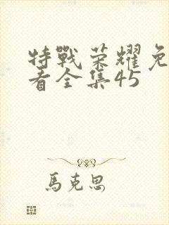 特战荣耀免费观看全集45