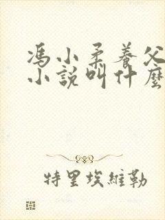 冯小柔养父原著小说叫什么名字