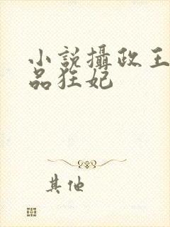 小说摄政王的医品狂妃封面