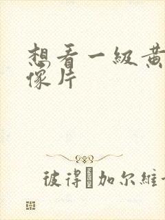 想看一级黄色录像片