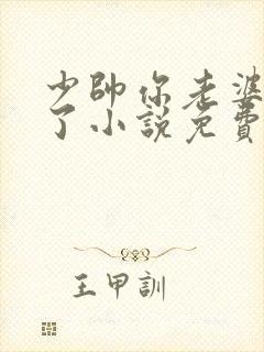 少帅你老婆又跑了小说免费阅读