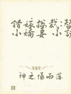 错嫁总裁:替身小娇妻 小说