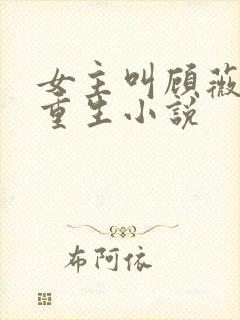 女主叫顾薇薇的重生小说