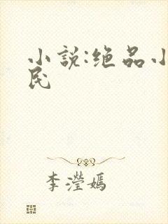 小说:绝品小农民封面