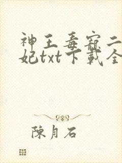 神王毒宠二嫁王妃txt下载全本
