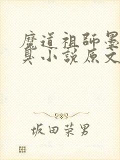 魔道祖师墨香铜臭小说原文免费阅读