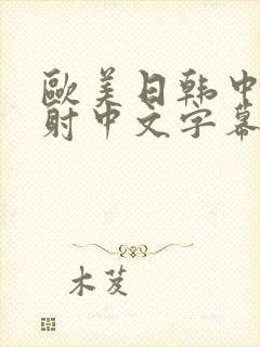 欧美日韩中出内射中文字幕封面