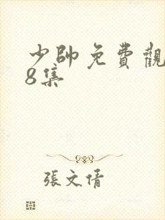 少帅免费观看48集封面