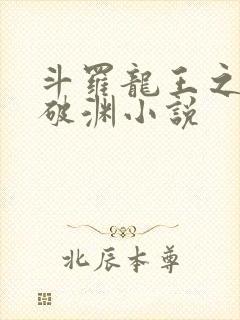 斗罗龙王之九龙破渊小说