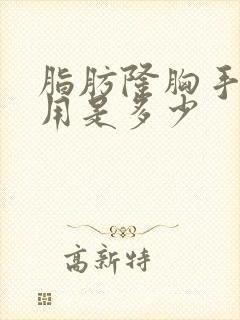 脂肪隆胸手术费用是多少