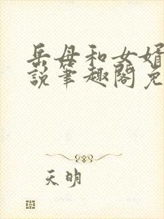 岳母和女婿的小说笔趣阁免费阅读全