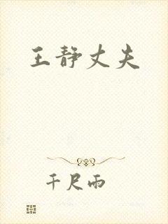 王静丈夫封面