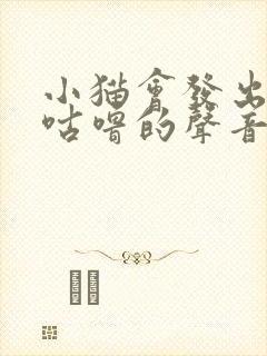 小猫会发出咕噜咕噜的声音封面