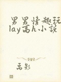 男男情趣玩具play高h小说封面