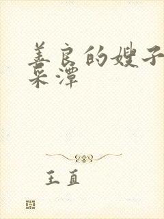 善良的嫂子 李采潭封面