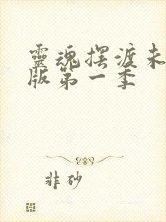 灵魂摆渡未删减版第一季