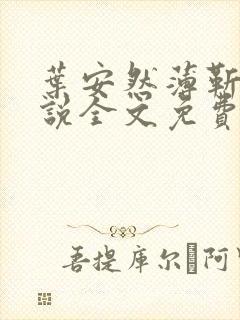 叶安然薄靳煜小说全文免费阅读