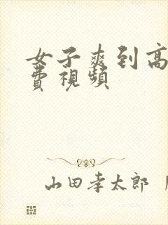 女子爽到高潮免费视频