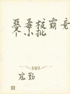 恶毒校霸竟长了个小批