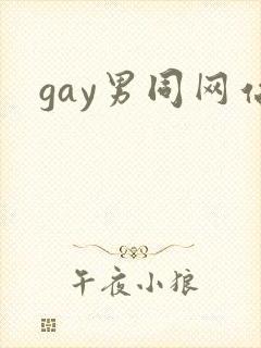 gay男同网站