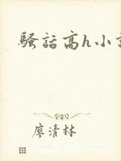 骚话高h小说