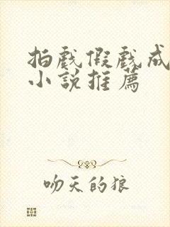 拍戏假戏成真的小说推荐