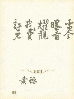 许我耀眼电视剧免费观看全集高清