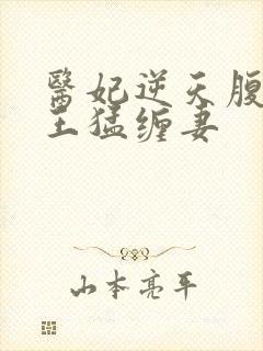 医妃逆天腹黑鬼王猛缠妻