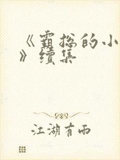 《霸总的小甜妻》续集封面