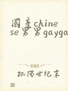 国产chinese男男gaygay网站下载