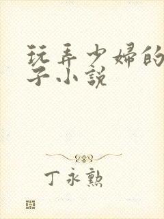 玩弄少妇的大奶子小说封面