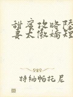 甜蜜攻略陆总前妻太傲娇短剧免费观看全集