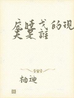 庞晓戈的现任丈夫是谁