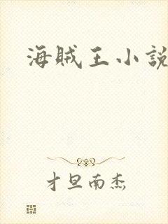 海贼王小说同人