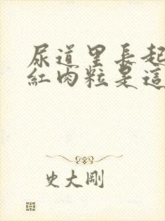 尿道里长起点小红肉粒是这么回事封面