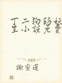 丁二狗的妖孽人生小说免费阅读