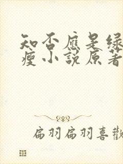 知否应是绿肥红瘦小说原著