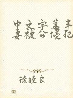 中文字幕丰满人妻被公侵犯封面