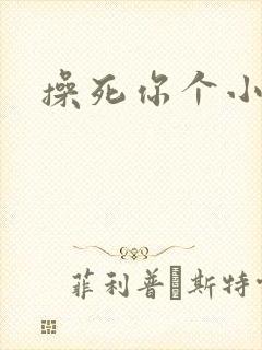 操死你个小母狗